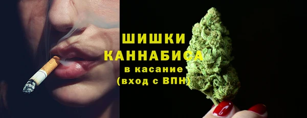 ГАЛЛЮЦИНОГЕННЫЕ ГРИБЫ Баксан