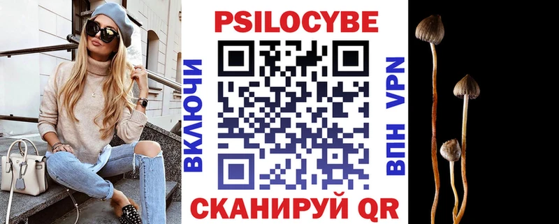 Галлюциногенные грибы Psilocybine cubensis  Козловка 
